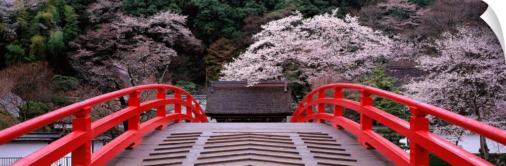 Photo print of flowering trees in Japan as seen from a bridge.