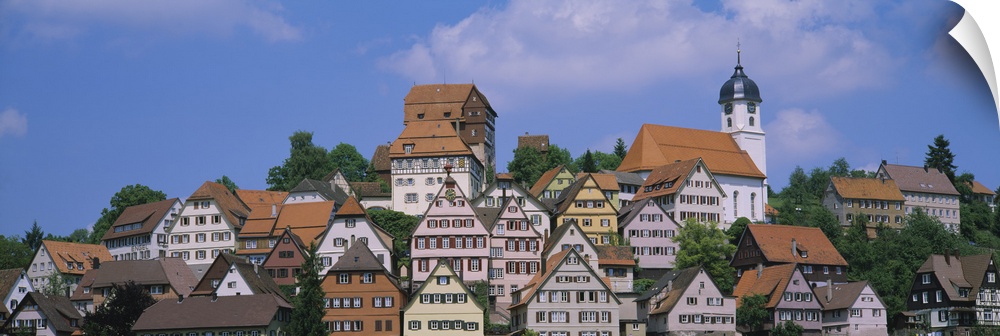 Buildings on a hill, Altensteig, Black Forest, Germany