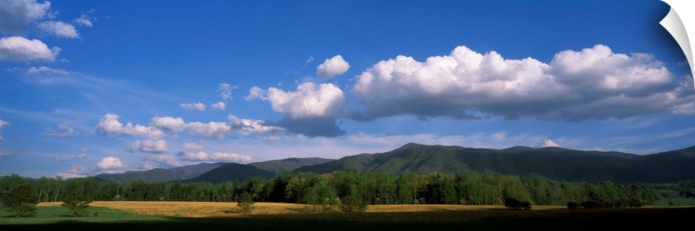 Cades Cove Great Smoky Mtns National Park TN