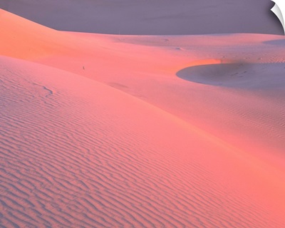 California, Algodones Dunes, Rippled sand dune in the desert