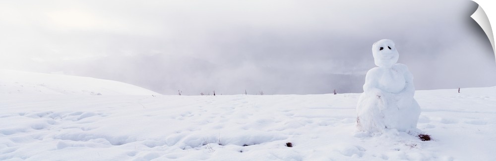 California, Kneeland, Snowman on a polar landscape