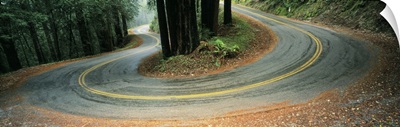 California, Marin County, road