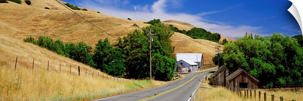 California, Sonoma County, road through farmland