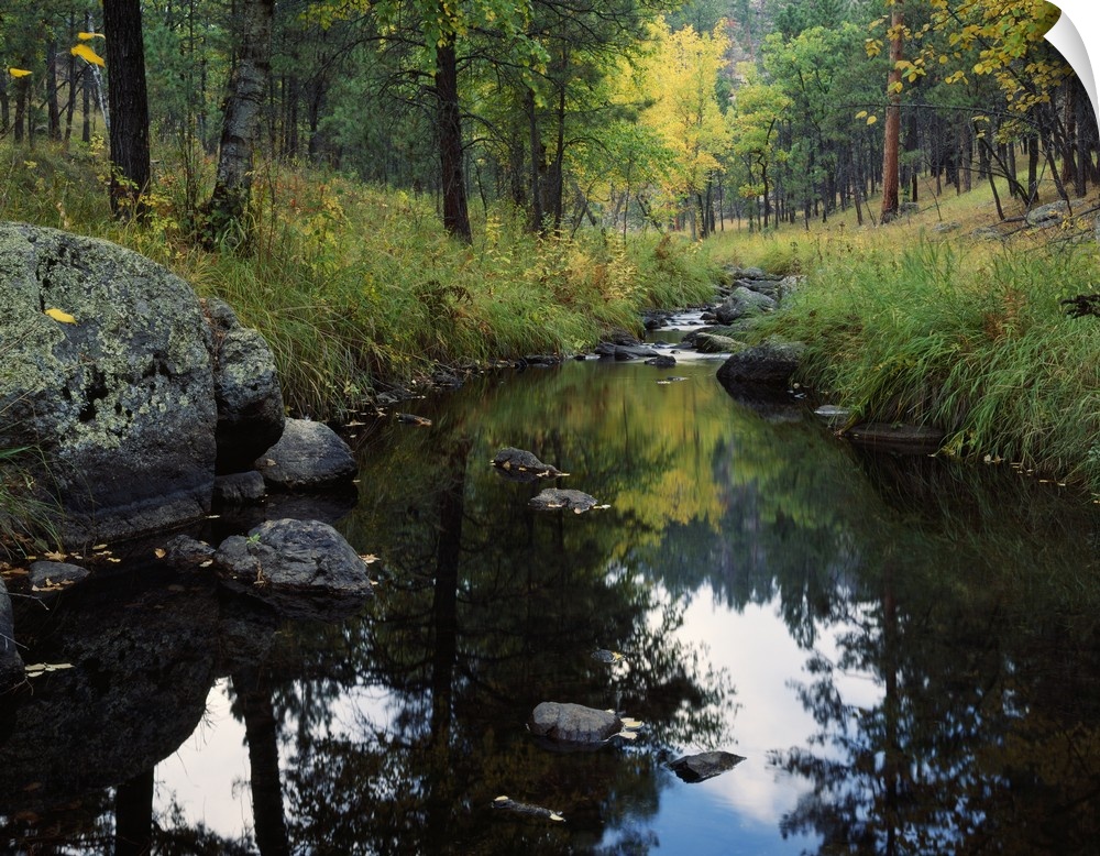 Nature photograph of a calm creek with tall grass and trees lining the sides.