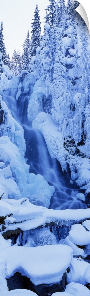 A tall panoramic piece of a frozen waterfall that is surrounded by trees and rocks that are covered with snow.