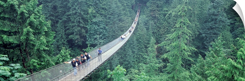 Long horizontal photo on canvas of people walking across a long bridge that runs through the top of a forest.