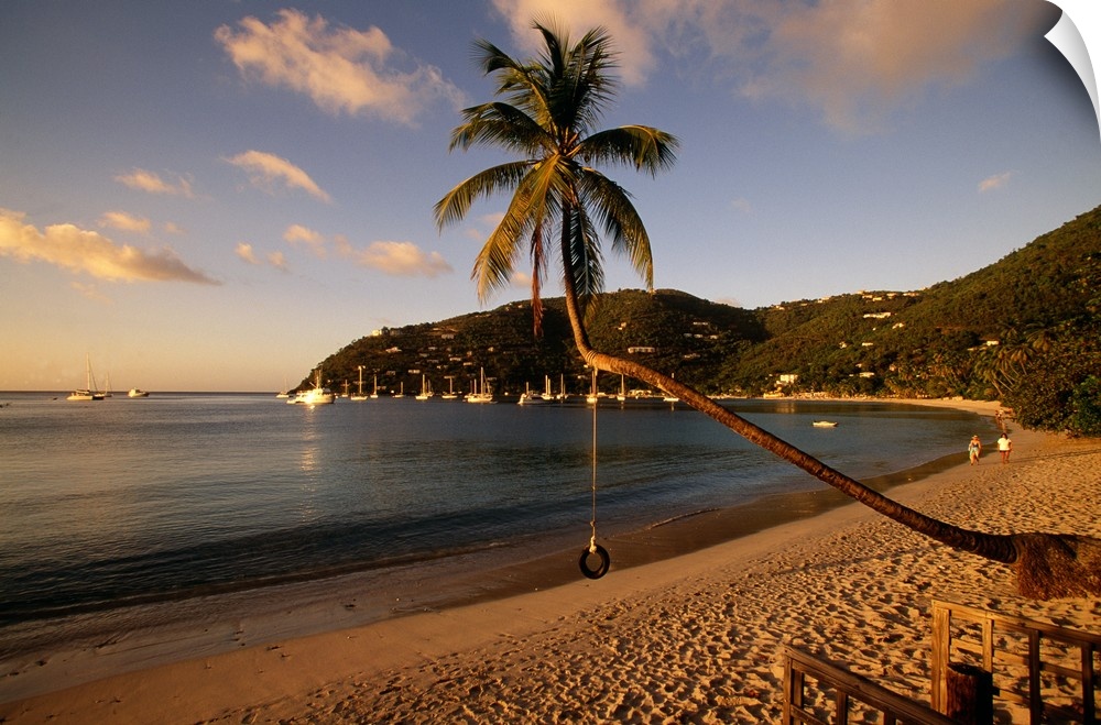 Photograph of beach front with palm tree that has a tire swing.  There are sailboats in the water and along the water's edge.