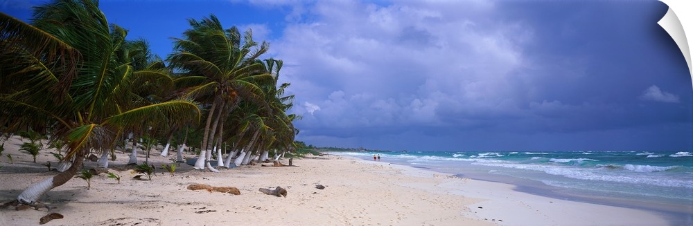 A photograph is taken looking down an ocean coast with palm trees lining the back of the beach to the left.