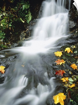 Cascading Falls England