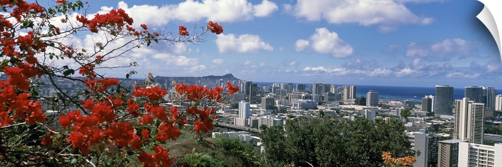 Cityscape, Honolulu, Oahu, Hawaii