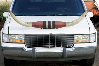 Close-up of a Limousine with cow horns on the hood, Amarillo, Texas