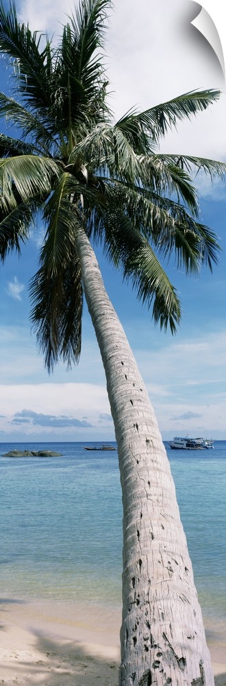 A vertical, panoramic shaped canvas of a single tree in front of a tropical ocean and anchored boat.