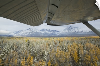 Close-up of a plane wing over a forest, Wrangell Mountains, Saint Elias National Park, Wrangell, Alaska