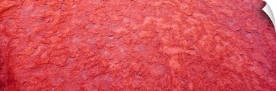 Close-up of a rock, Arkose, Ayers Rock, Australia