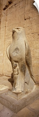 Close-up of a statue, Temple of Horus, Edfu, Nubia, Egypt