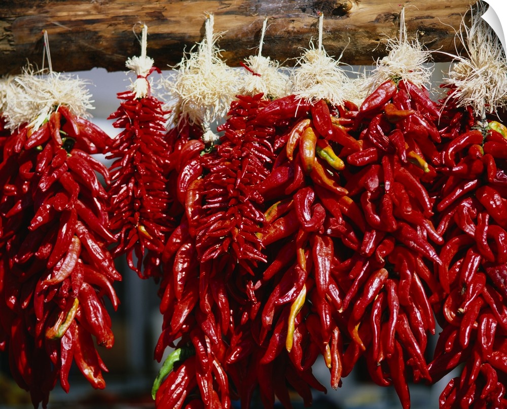 Close-up of bunches of chilli peppers hanging on a stall, Taos, New Mexico