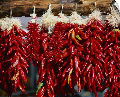 Close-up of bunches of chilli peppers hanging on a stall, Taos, New Mexico