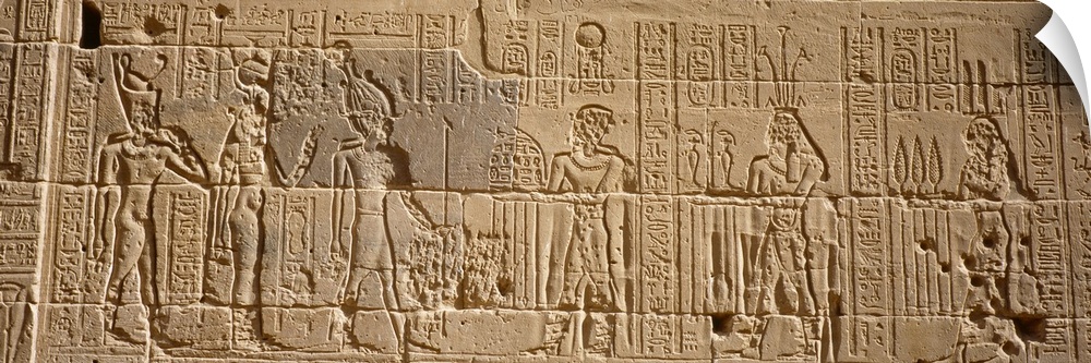 Wide photo on canvas of Egyptian hieroglyphics carved into a rock wall.