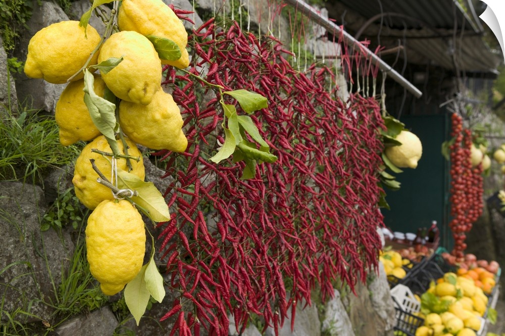 Lemons and chili peppers in Italy hang for sale in a local farmers market.