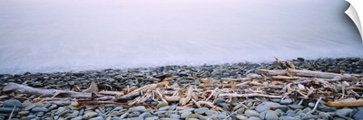 Close-up of logging debris and pebbles at the coast, Robin Hood Bay, Nelson, South Island, New Zealand