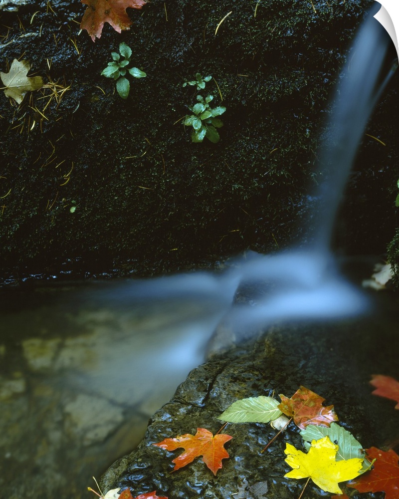 Photograph of small waterfall cascading into a small pond with large rock covered in autumn leaves.