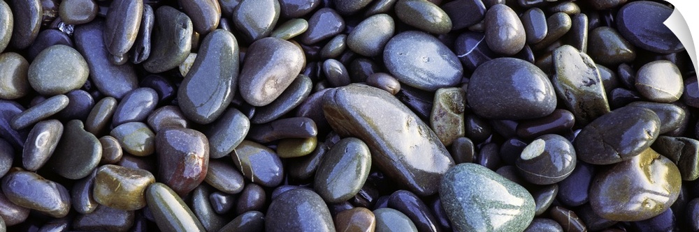 Close-up of pebbles, Sandymouth Beach, Cornwall, England
