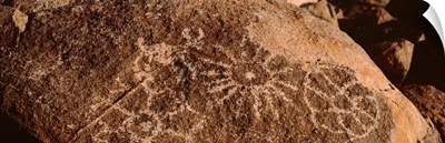 Close-up of petroglyphs on a rock, Saguaro National Park, Tucson, Arizona