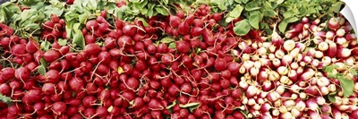 Close-up of radishes and turnips at a market stall