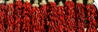 Close up of red chili ristras Taos Taos County New Mexico
