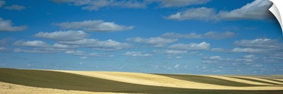 Clouded sky over a striped field, Geraldine, Montana