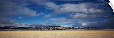 Clouded sky over a wheat field, Montana