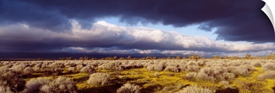 Clouds Mojave Desert CA
