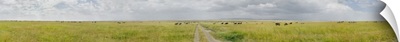 Clouds over a landscape, Savannah, Masai Mara National Reserve, South Africa