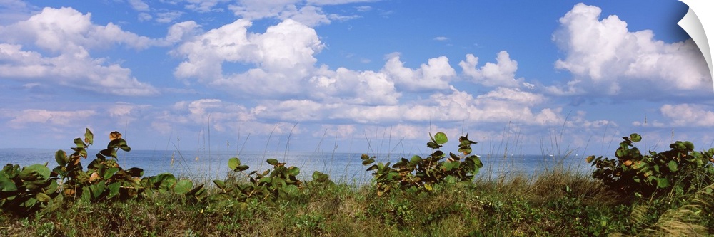 Clouds over the sea, Tampa Bay, Gulf Of Mexico, Anna Maria Island, Manatee County, Florida