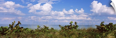 Clouds over the sea, Tampa Bay, Gulf Of Mexico, Anna Maria Island, Manatee County, Florida