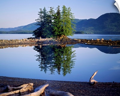 Coastal scene with pine trees and water reflection, Inside Passage, Alaska