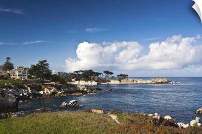 Coastline, Monterey Bay, Monterey, California