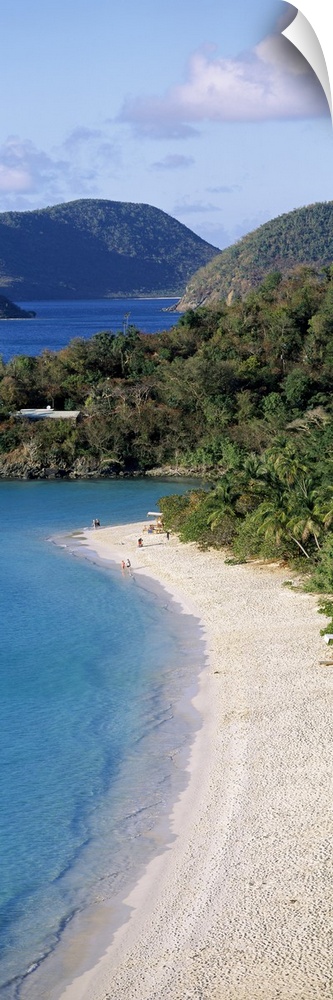 A tall narrow photograph of a sandy beach lined with palm trees and more islands in the background.