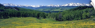 Colorado, San Miguel Mountains, spring