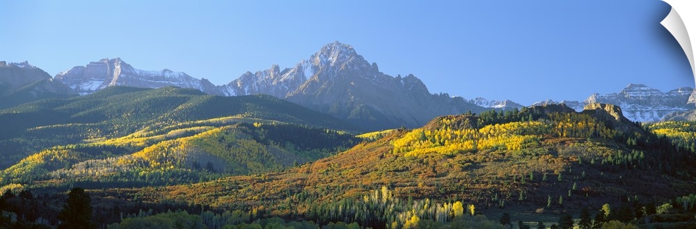 Panoramic photo on canvas of autumn colored trees on rolling hills in front of rugged mountains.