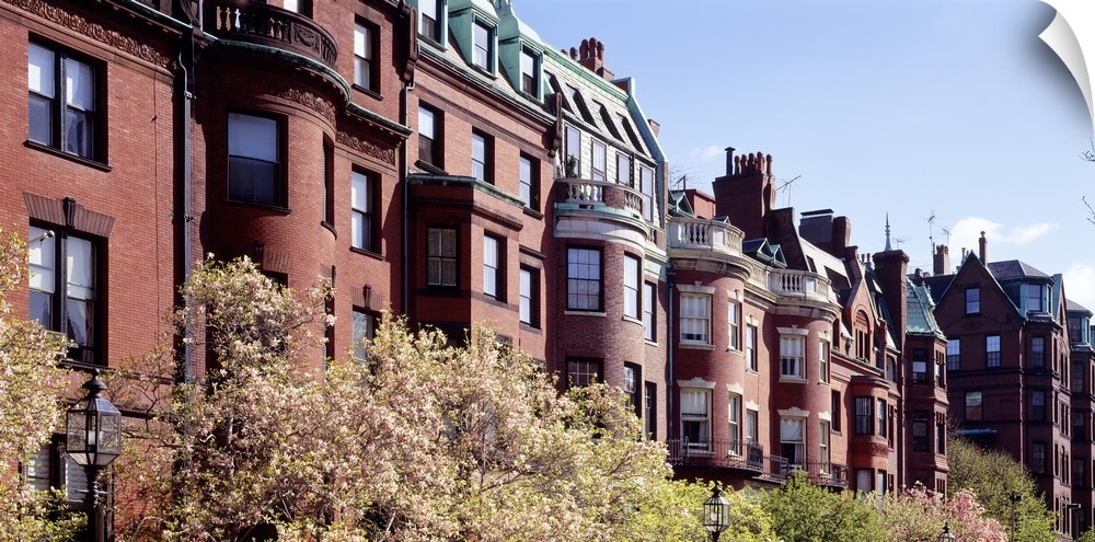 Wide angle photograph of tree tops in front of a row of brick buildings along Commonwealth Avenue in Boston, Massachusetts.