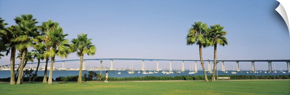This wide angle picture was taken of the Coronado Bay Bridge from across the water while standing on land.