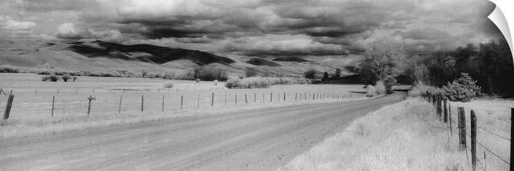 This black and white panoramic photograph is of a long dirt road that is lined on either side by a small wire fence. Large...