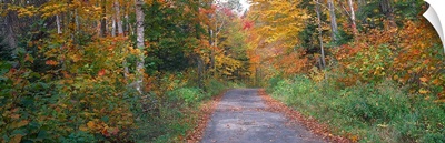 Country road passing through a forest, Adirondack Park, Franklin County, New York State,