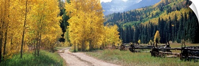 Country road passing through mountain, Ridgway, Ouray County, Colorado