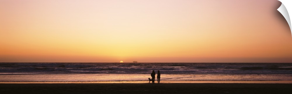 Couple w/ dog at sunset on Ocean Beach Southern CA