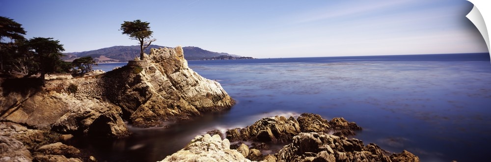 Panoramic photograph of rocky shoreline and cliff with single tree growing near the edge.
