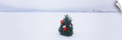 Decorated tree in a snow covered desert, Black Rock Desert, Nevada