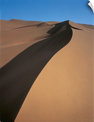 Desert Namibia Africa