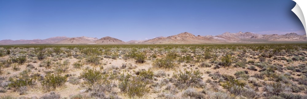 Desert nr Death Valley CA